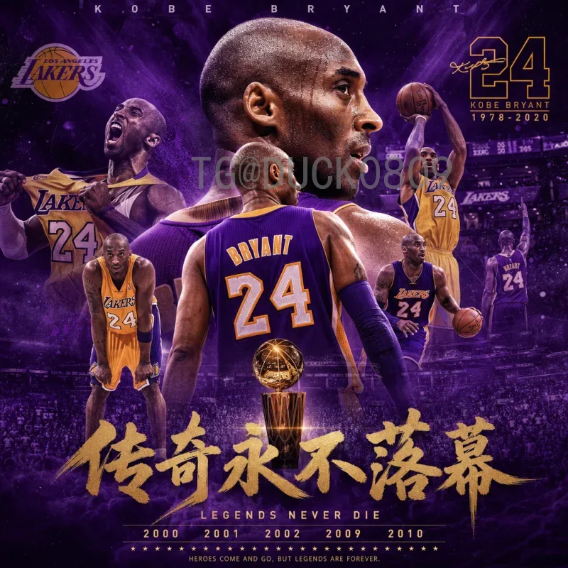 2026世界杯B组深度解析：强强对话与黑马潜力的终极碰撞